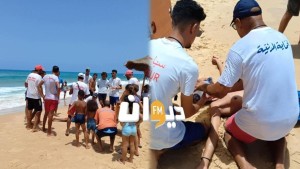 باجة: عملية بيضاء بشاطئ الزوارع تحاكي إنقاذ غريق