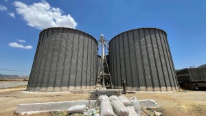 صدور الأمر المتعلق بتحديد سعر الحبوب لموسم 2025