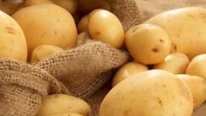 القصرين : حجز 120 طناً من البطاطا