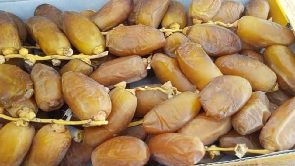 عائدات صادرات التمور تسجّل تراجعا