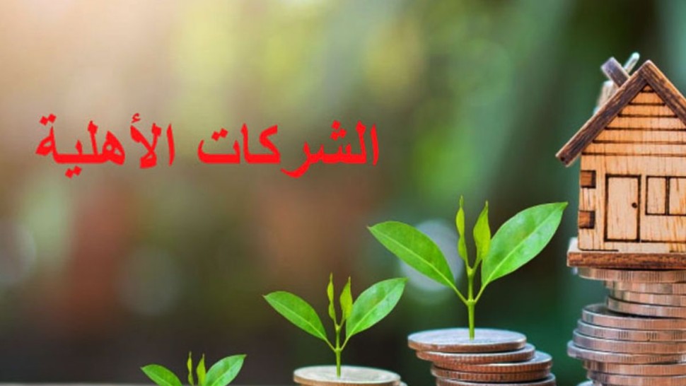 وزارة المالية : 67 شركة أهلية مولها البنك التونسي للتضامن إلى غاية 9 جوان الماضي