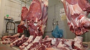 تجربة نموذجية : لحم الإبل بنقاط شركة اللحوم و المساحات التجارية