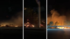 قرمبالية: اندلاع حريق بجانب الطريق السيارة أ1