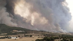 زغوان: نشوب حريق بالمنطقة الغابية تليل الصالحي والدبيديبة