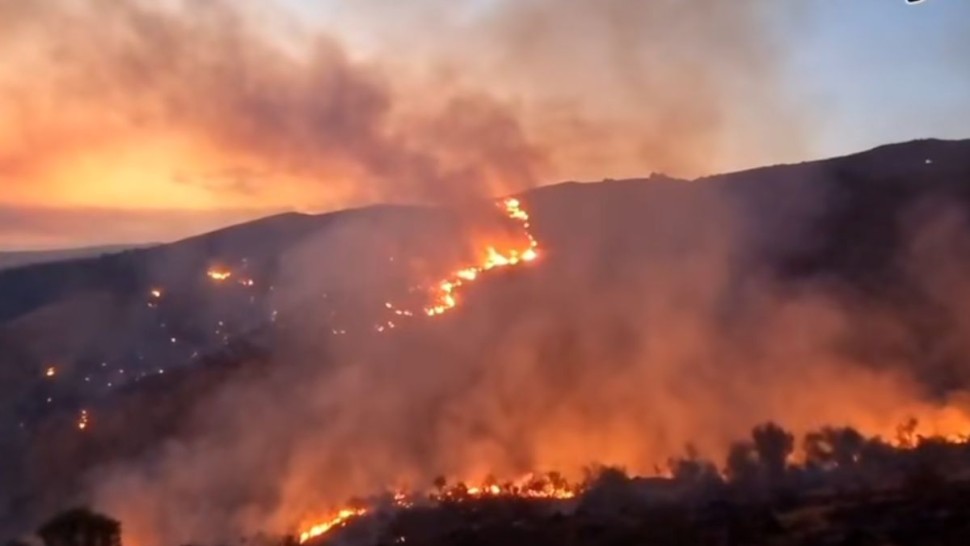 رئيس اتحاد الفلاحة بتيبار: السيطرة نسبيا على حريق جبال سيّار و تواصل عملية التبريد