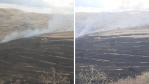 باجة : حريق في منطقة الغرابة يأتي على مساحات من الحصيدة والفول