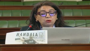نائب لوزيرة الثقافة: ما فلسفة تحويل "النوبة" و"رقوج" إلى عروض مهرجانات؟