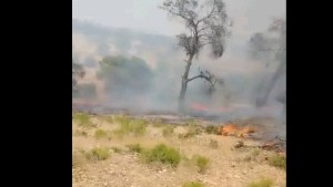 السيطرة على حريق جبل الفراشيش بسليانة