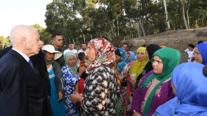 رئيس الجمهورية يستمع لمشاغل حرفيات الفخار بمعتمدية سجنان