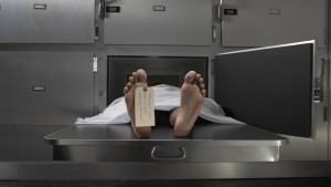 نابل: وفاة شاب إثر تعرضه لصعقة كهربائية