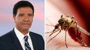 محجوب العوني: تونس لم تسجّل إصابات بفيروس "شيكونغونيا" وتواصل مراقبة البعوض الناقل