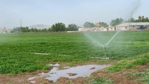 بنزرت: حجز 4 محركات ضخ استعملها صاحبها في ري مزروعات بمياه الصرف الصحي