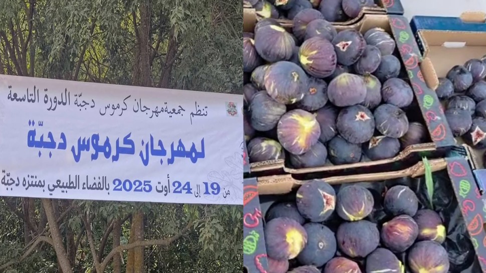 باجة: اليوم افتتاح مهرجان "كرموس دجبة"