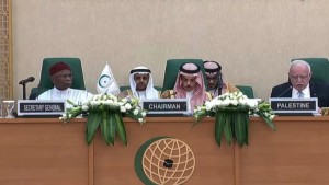 منظمة التعاون الإسلامي تحمل الاحتلال مسؤولية تفاقم الكارثة في غزة