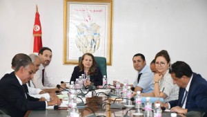 لجنة دعم المؤسسات