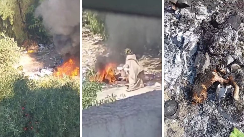 ظهرت في فيديو تحرق القطط .. إلقاء القبض على المتهمة في الملاسين