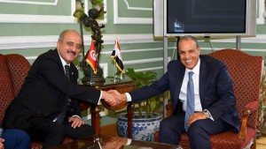سبل دعم الشعب الفلسطيني في لقاء وزير الخارجية بنظيره المصري