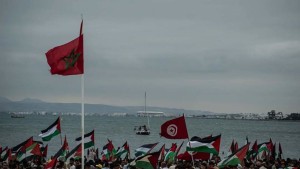 بحبة: الوضع الجوي غير ملائم لابحار اسطول الصمود وقرار التأجيل في محله