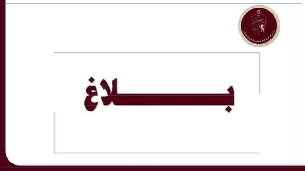 ديوان التجارة يوفر كميات من القهوة الخضراء بكافة مخازنه مخصصة للمهنيين