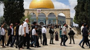 عشرات المستوطنين يقتحمون الأقصى وينفخون بالبوق داخله