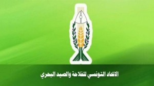 اتحاد الفلاحة يدعو الى توفير الاسمدة وجدولة الديون والاستعداد لموسم تحويل الزيتون