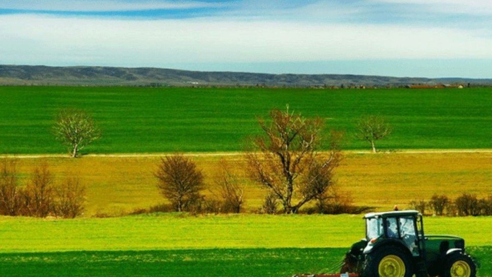باجة : استبشار بعد نزول الغيث النافع تزامناً مع انطلاق موسم الزراعات الكبرى