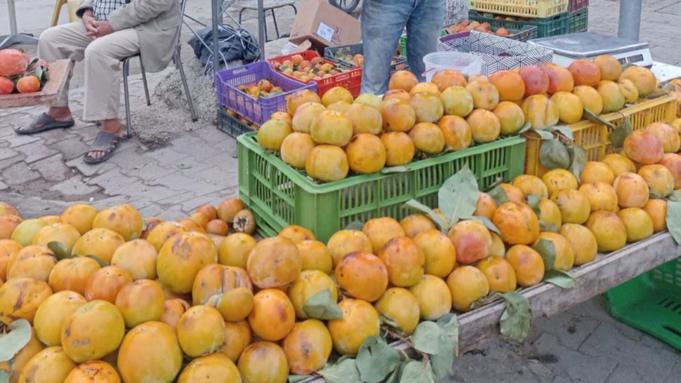 باجة: انطلاق موسم جني الكريمة وتطور في الإنتاج بنسبة 15 بالمائة