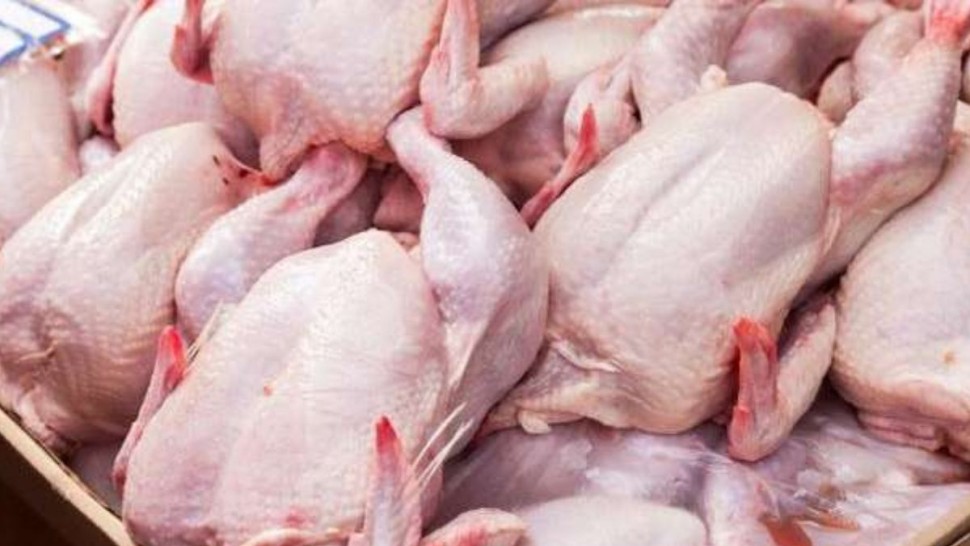 رئيس غرفة تجار الدواجن : الأسعار لا تتجاوز 8.700 مليم في نقاط البيع المنظمة