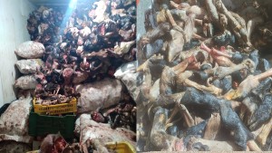 حجز أكثر من 5.4 أطنان و1.8 ألف لتر من مواد غذائية متنوعة فاسدة وغير صالحة للاستهلاك