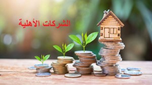 الرائد الرسمي: صدور مرسوم جديد ينقح المرسوم المتعلق بالشركات الاهلية