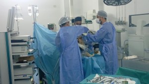 إجراء 30 عملية زرع كلى وكبد وقلب من 10 متبرعين متوفين دماغيا