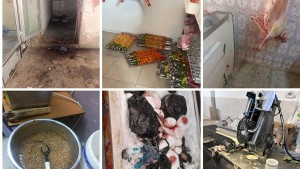 جز أكثر من 11 طناً من المواد الغذائية غير الصالحة للاستهلاك بعدد من الولايات