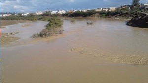 جندوبة : فيضانات تجرف امرأة ونعاجها
