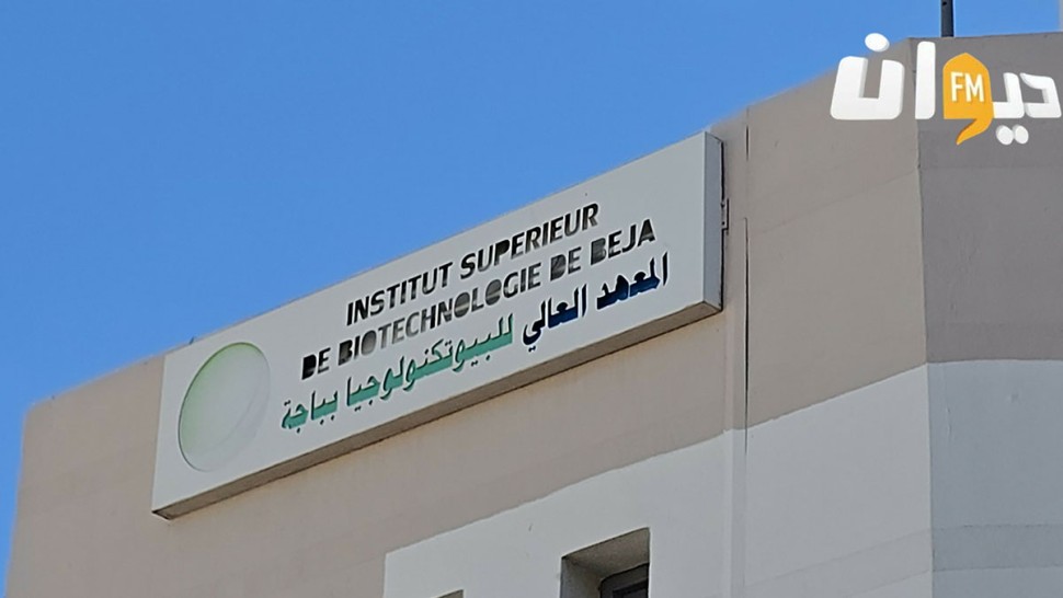 باجة
