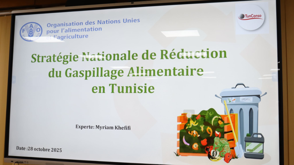 وزير التجارة: الإنطلاق في إعداد الإستراتيجية الوطنية للحد من التبذير الغذائي