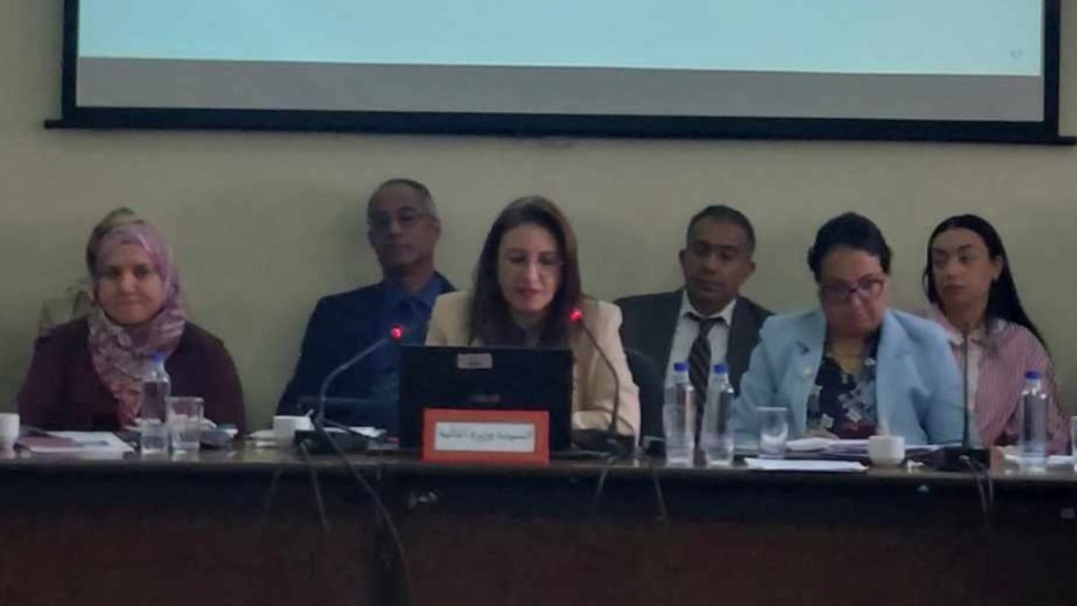 وزيرة المالية: رصد ألف مليون دينار للزيادة في الأجور