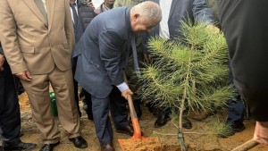 باجة: حملة تشجير بمنطقة الزوارع المتضررة من الحرائق