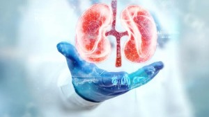 الجمعية التونسية لطب الكلى وتصفية الدم