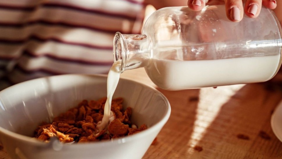 اتّحاد الفلاحة يحذّر من استهلاك الحليب غير المعقّم