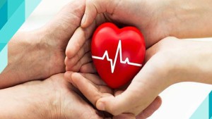 15 عملية زرع أعضاء من 4 متبرعين متوفين دماغيا في أقل من شهر