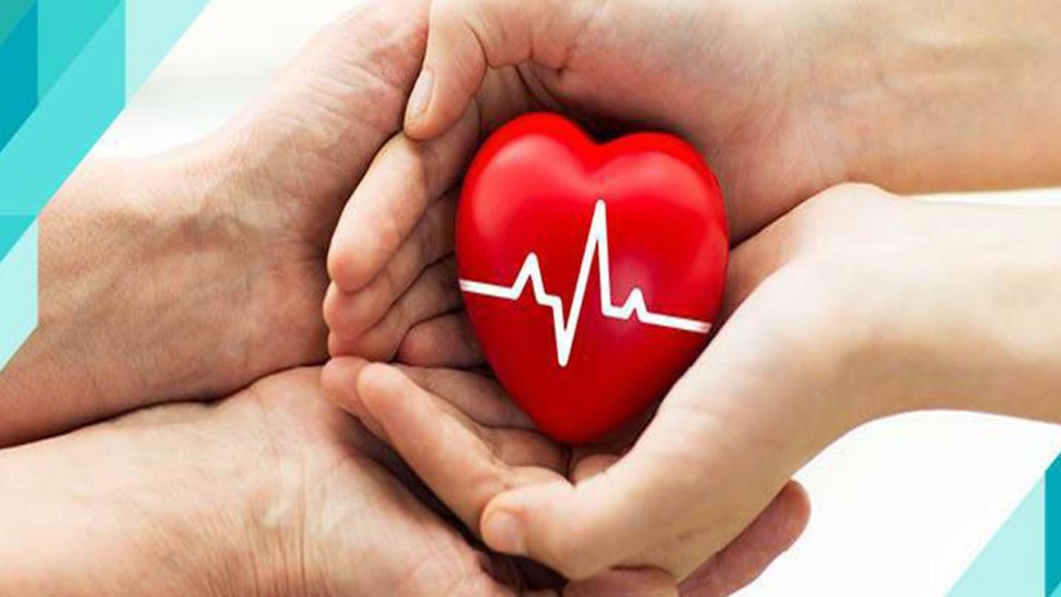 15 عملية زرع أعضاء من 4 متبرعين متوفين دماغيا في أقل من شهر