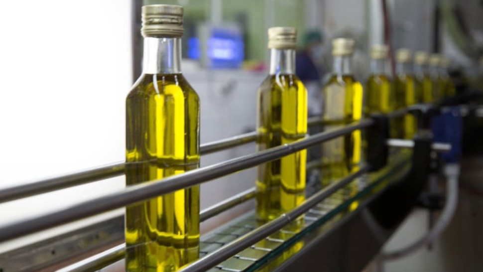 زيت الزيتون