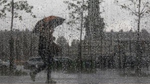 بداية من الليلة.. هذه الولايات معنية بنزول أمطار غزيرة