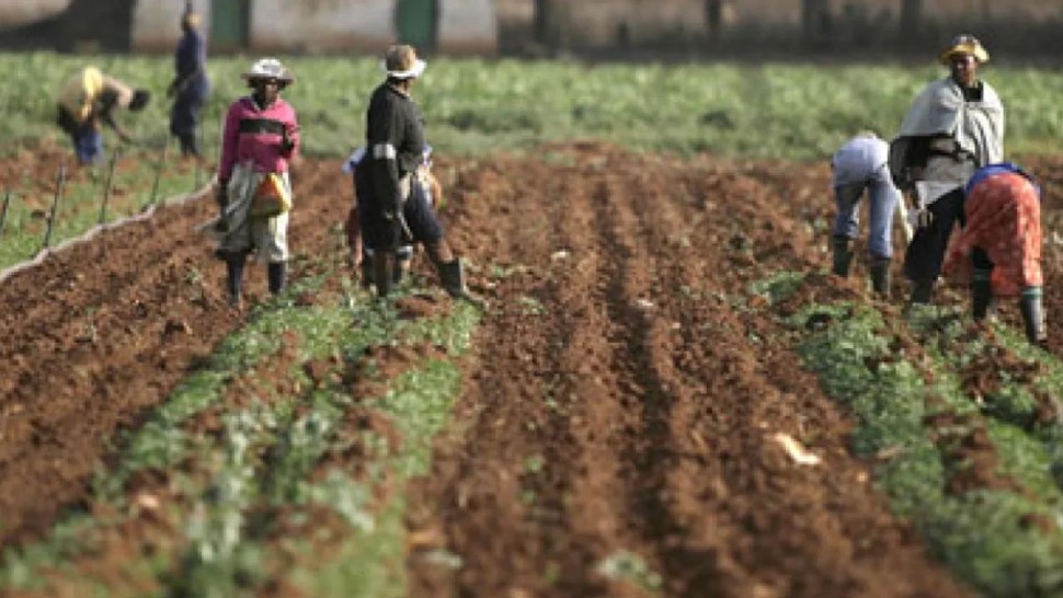 افريقيا تخسر ما قيمته 1800 مليار دينار من انتاجها الزراعي بين سنتي 1991 و2023