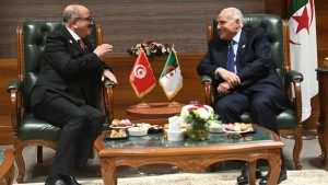 وزير الخارجية ونظيره الجزائري يبحثان تجريم الاستعمار في إفريقيا