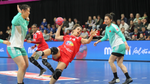 بطولة العالم لكرة اليد سيدات,المنتخب التونسي