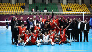 الكرة الطائرة