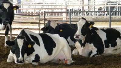 مشروع التنمية الفلاحية المندمجة بولاية صفاقس