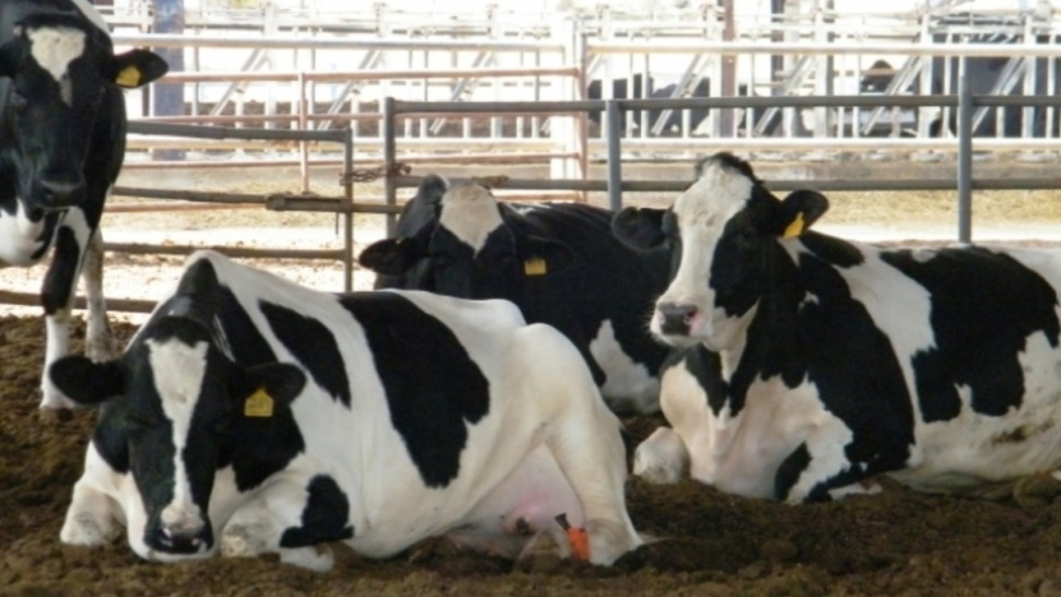 مشروع التنمية الفلاحية المندمجة بولاية صفاقس