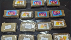 حجز أكثر من 420 كلغ من 'الزطلة' و ايقاف شخصين